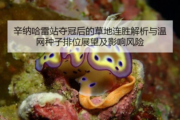 xin-na-ha-lei-zhan-duo-guan-hou-de-cao-di-lian-sheng-jie-xi-yu-wen-wang-zhong-zi-pai-wei-zhan-wang-ji-ying-xiang-feng-3-589.jpg