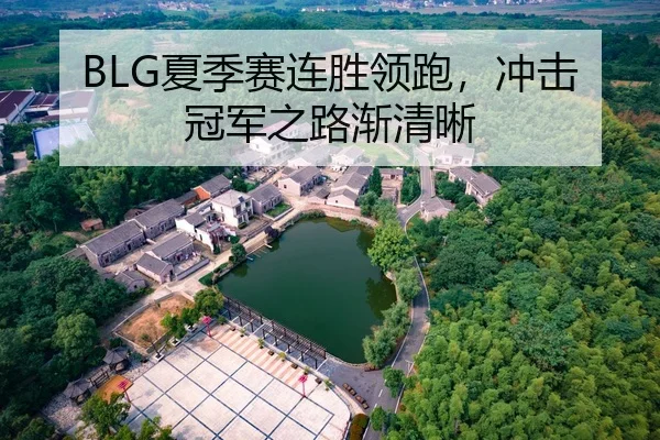 BLG夏季赛连胜领跑，冲击冠军之路渐清晰