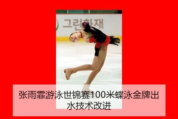 zhang-yu-fei-you-yong-shi-jin-sai-mi-die-yong-jin-pai-chu-shui-ji-shu-gai-jin-3-745.jpg