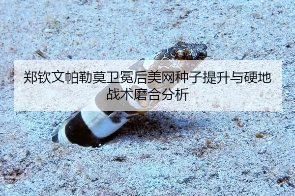 zheng-qin-wen-pa-lei-mo-wei-mian-hou-mei-wang-zhong-zi-ti-sheng-yu-ying-di-zhan-shu-mo-he-fen-xi-2-181.jpg